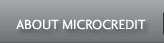 About Microcredit